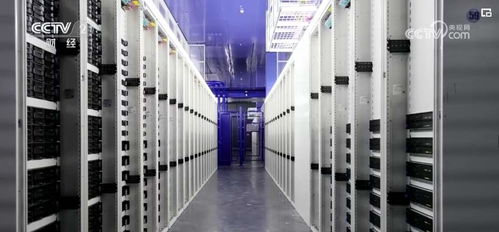 大模型浪潮下，算力租賃資源與人工智能基礎(chǔ)軟件開發(fā)成新焦點(diǎn)